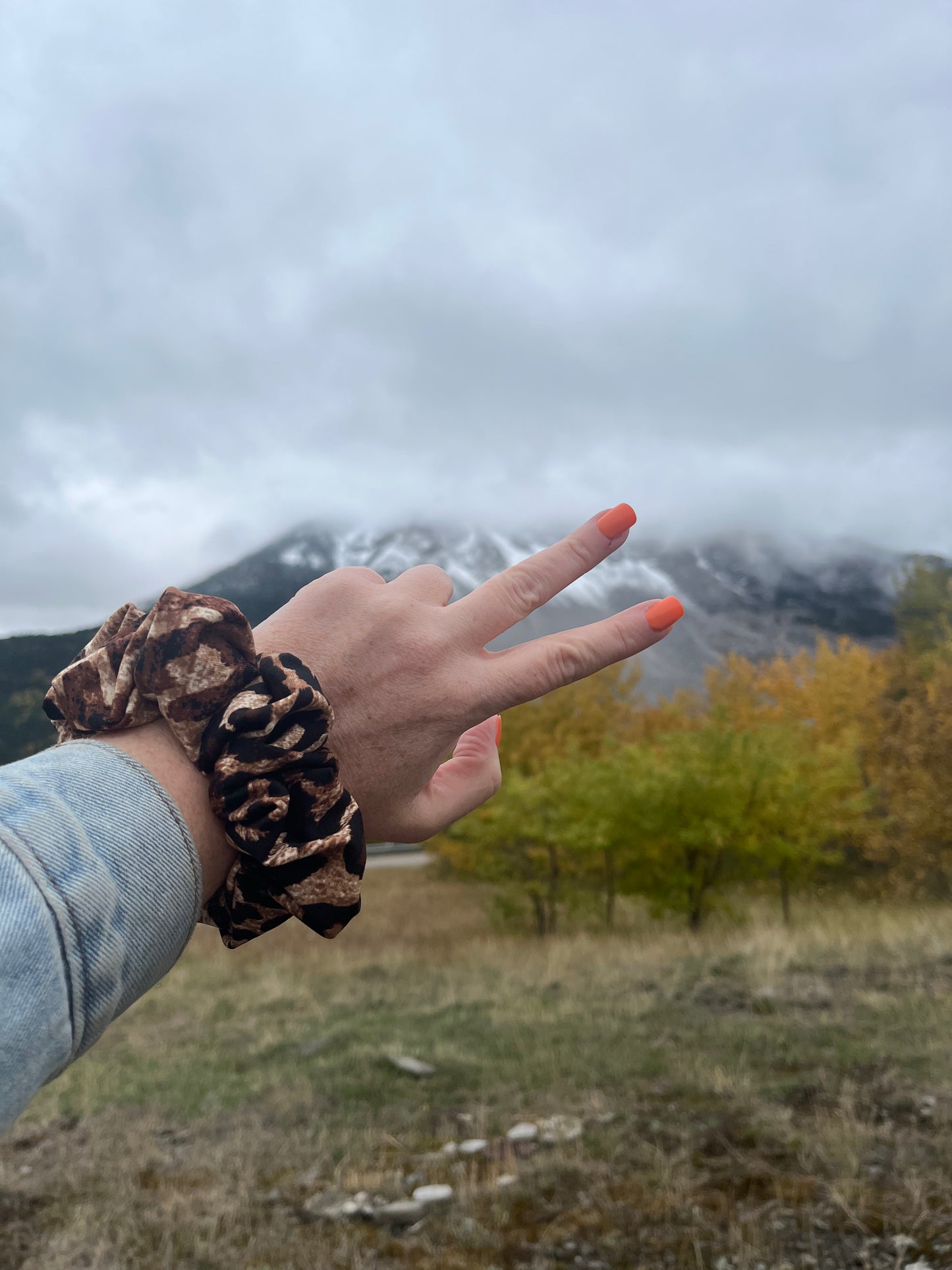 Leopard Everyday Scrunchie